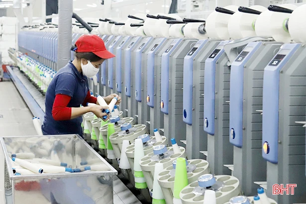 Thông thủ tục, khai thác hiệu quả nguồn thu để đạt 7.200 tỷ ngân sách nội địa