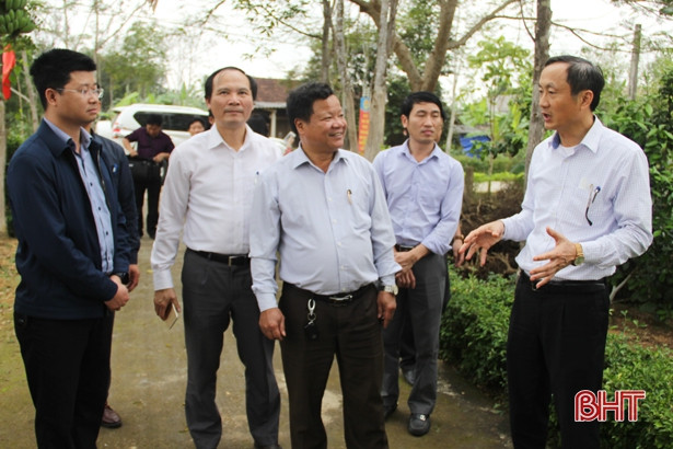 Hương Khê phát triển kinh tế vườn, nâng cao chất lượng cuộc sống cho người dân
