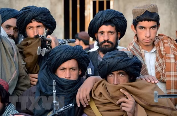 Afghanistan: Gần 60 phiến quân Taliban ở 3 tỉnh ra đầu hàng