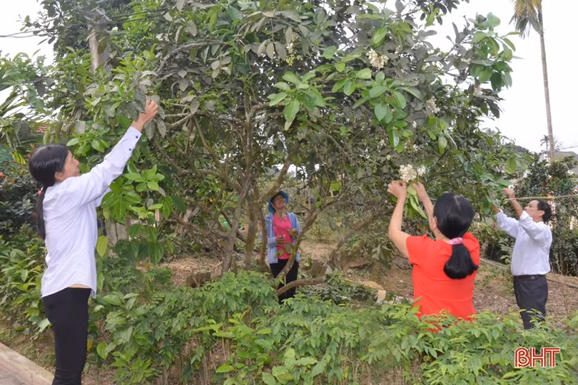 Chuyện những gia đình kiểu mẫu ở vùng quê nông thôn mới miền núi Hà Tĩnh