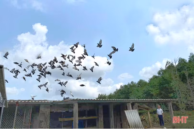 Nhiều thú vị khi trải nghiệm du lịch nông thôn mới ở xã vùng thượng Kỳ Anh