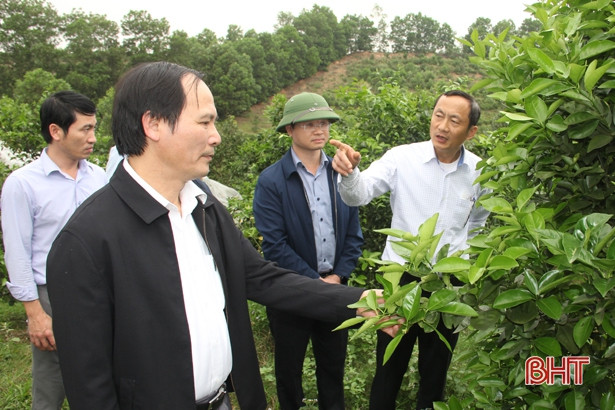 Hương Khê phát triển kinh tế vườn, nâng cao chất lượng cuộc sống cho người dân