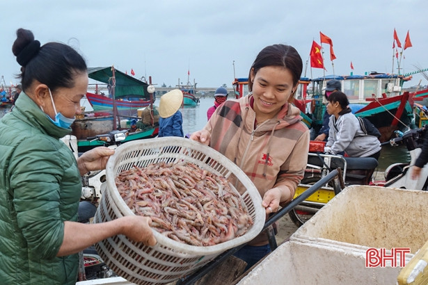Ngư dân Cẩm Nhượng trúng đậm cá đù đầu năm