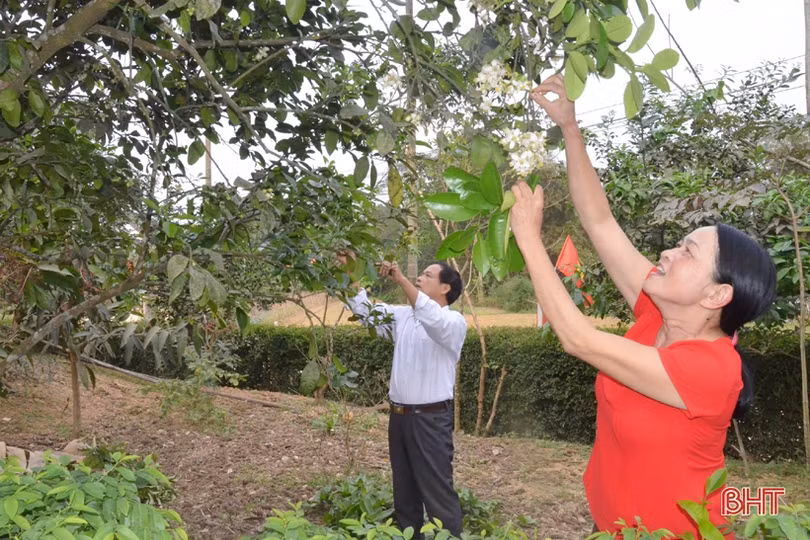 Chuyện những gia đình kiểu mẫu ở vùng quê nông thôn mới miền núi Hà Tĩnh