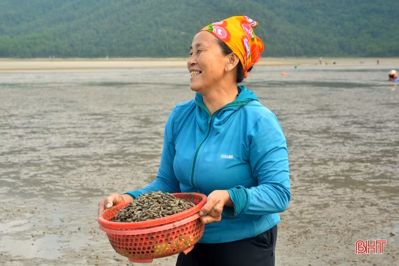 Vui như “săn” ốc đinh trên bãi triều sông Vịnh