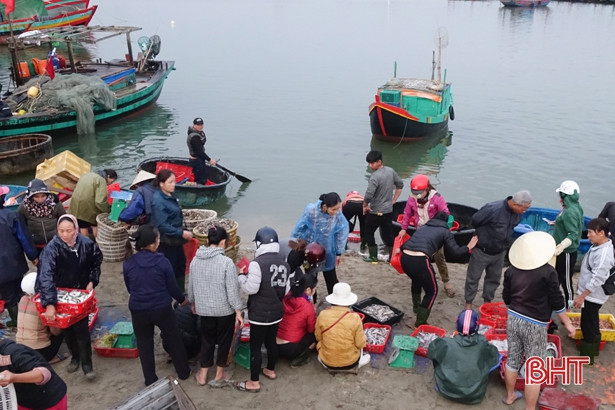 Ngư dân Cẩm Nhượng trúng đậm cá đù đầu năm