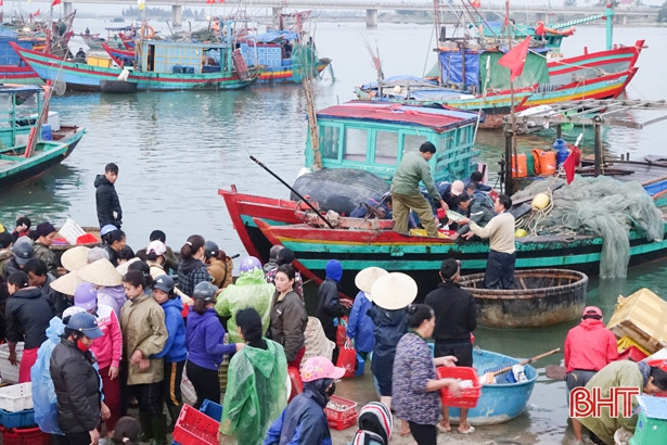 Ngư dân Cẩm Nhượng trúng đậm cá đù đầu năm