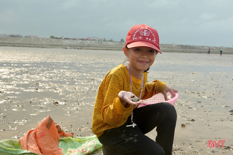 Vui như “săn” ốc đinh trên bãi triều sông Vịnh