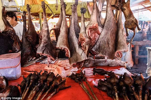 Khu chợ bán thịt dơi, rắn đáng sợ nhất Indonesia