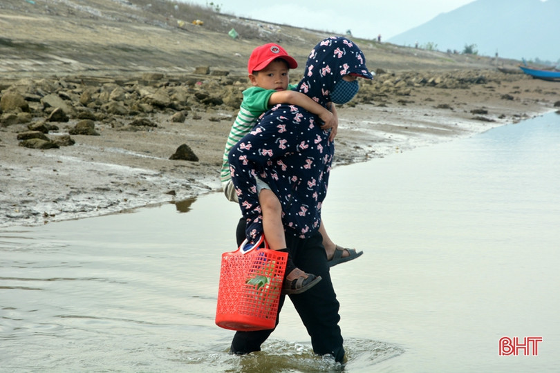 Vui như “săn” ốc đinh trên bãi triều sông Vịnh