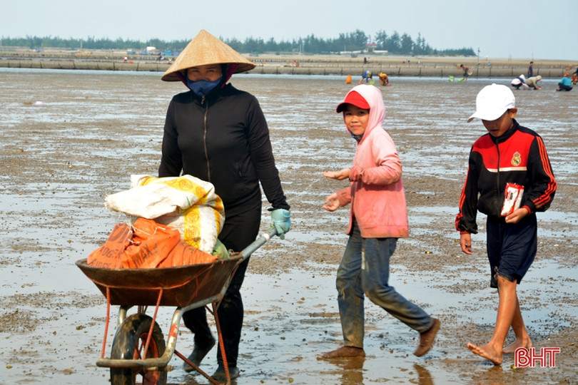 Vui như “săn” ốc đinh trên bãi triều sông Vịnh