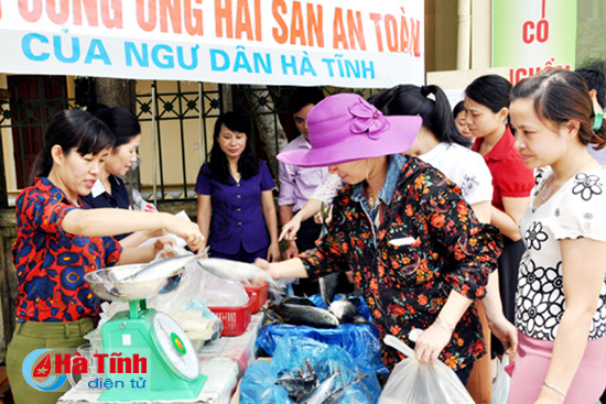 cung ung hai san an toan den nguoi tieu dung