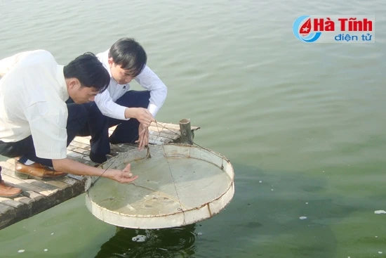 cap bach phong chong dich dom trang hoai tu gan tuy cap tinh tren tom