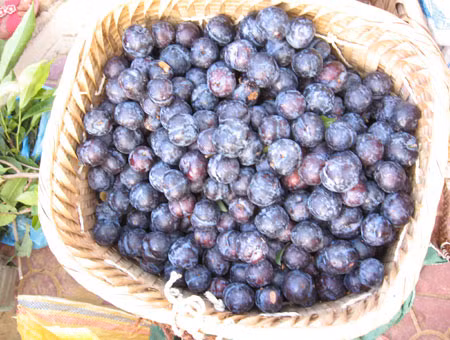 diem mat nhung loai man trung quoc co ban tren thi truong