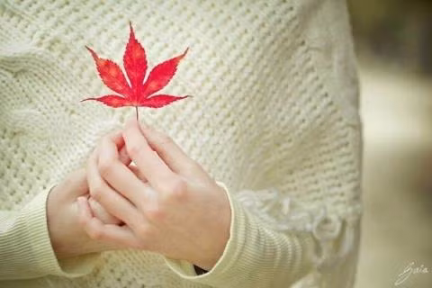 Ảnh mang tính minh họa: Internet vi sao co khi toi khoc