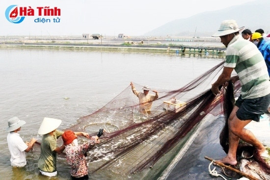 Cần đào tạo nghiệp vụ cho xã viên HTX đi vào chiều sâu, thực chất, biến những kiến thức đã học vào thực tiễn SXKD để tạo hiệu quả, đưa kinh tế tập thể thoát khỏi yếu kém kéo dài