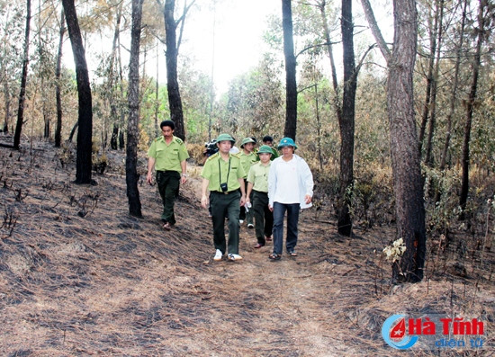 Các lực lượng chức năng kiểm tra công tác PCCR tại xã Lộc Yên (Hương Khê). Ảnh: Tiến Phúc Các lực lượng chức năng kiểm tra công tác PCCR tại xã Lộc Yên (Hương Khê). Ảnh: Tiến Phúc