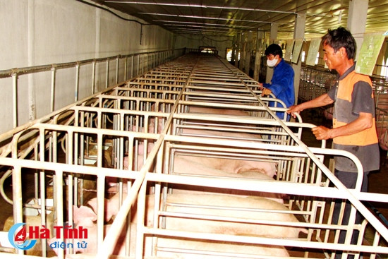 Agribank Hà Tĩnh là ngân hàng dẫn đầu về việc thực hiện cho vay hỗ trợ lãi suất phát triển các mô hình sản xuất kinh doanh