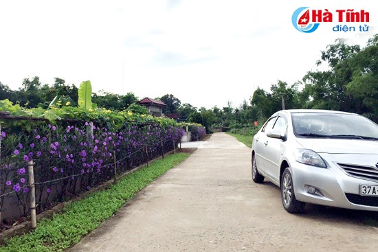 Khu dân kiểu mẫu ở thôn Tân An (Cẩm Bình)