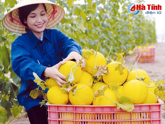 Từ thành thị đến nông thôn, nơi biên giới đến hải đảo..., đồng bào chiến sỹ cả nước sôi nổi thi đua lập thành tích chào mừng Đại hội Đảng toàn quốc lần thứ XII Từ thành thị đến nông thôn, nơi biên giới đến hải đảo..., đồng bào chiến sỹ cả nước sôi nổi thi đua lập thành tích chào mừng Đại hội Đảng toàn quốc lần thứ XII