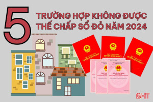 [Motion Graphics] 5 trường hợp không được sang tên sổ đỏ theo Luật Đất đai 2024