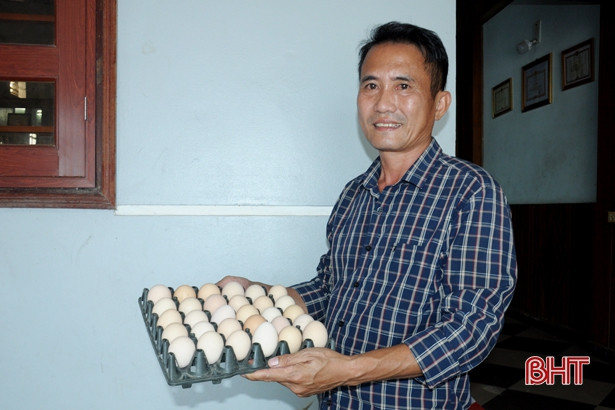 Những nông dân Hà Tĩnh thời 4.0 “mách nước” làm giàu!