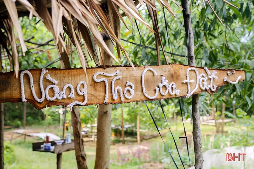 Hai nữ kỹ sư trẻ biến đồi hoang thành “đất thơ” ở Hà Tĩnh