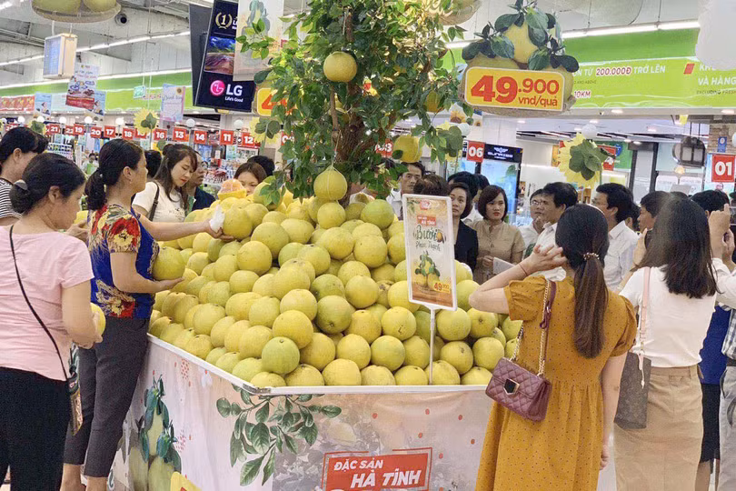 Bưởi Phúc Trạch “cháy hàng” khi giới thiệu tại Big C và GO!