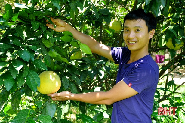 Những nông dân Hà Tĩnh thời 4.0 “mách nước” làm giàu!