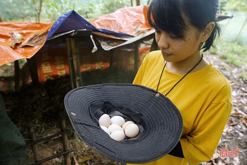 Hai nữ kỹ sư trẻ biến đồi hoang thành “đất thơ” ở Hà Tĩnh