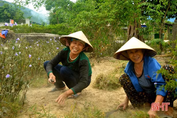 Bền bỉ vượt khó, Kỳ Hà cán đích nông thôn mới sau 3 lần lỡ hẹn