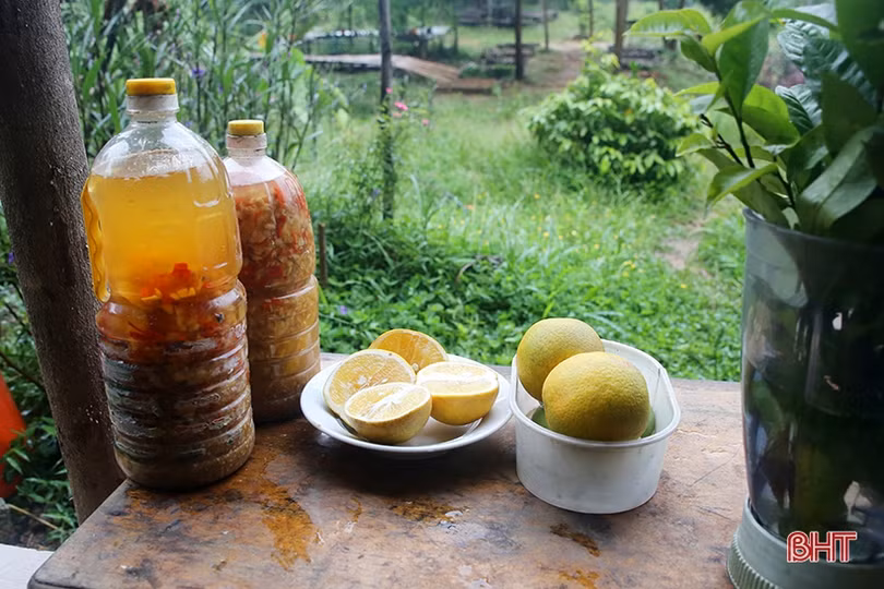 Hai nữ kỹ sư trẻ biến đồi hoang thành “đất thơ” ở Hà Tĩnh