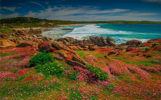 Mùa xuân đẹp như tranh vẽ ở phía bên kia trái đất