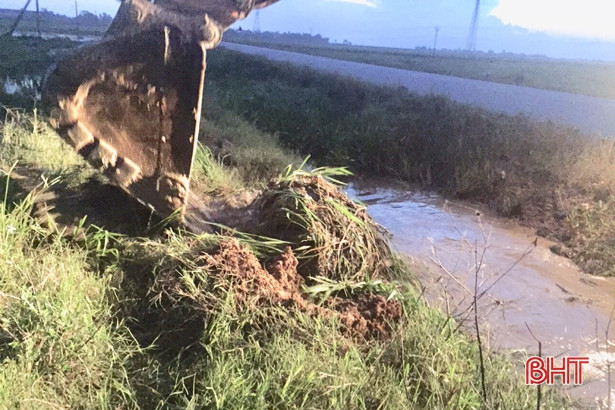 Rùng mình xác lợn chết trôi nổi trên kênh mương ở Cẩm Xuyên