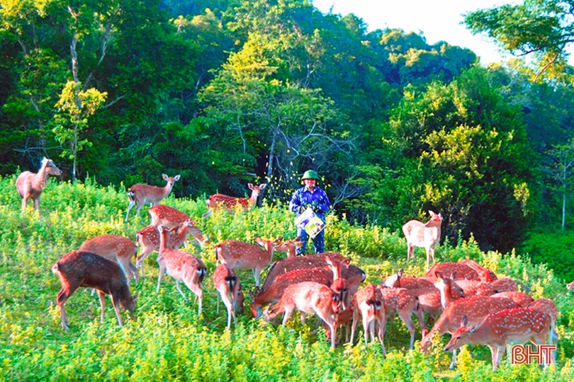 Về Hà Tĩnh người ơi!