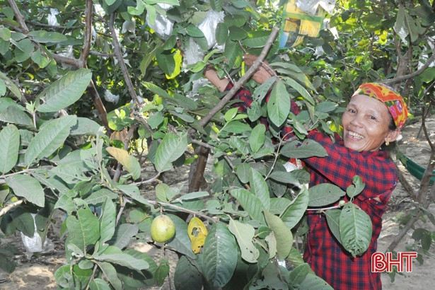 Những nông dân Hà Tĩnh thời 4.0 “mách nước” làm giàu!