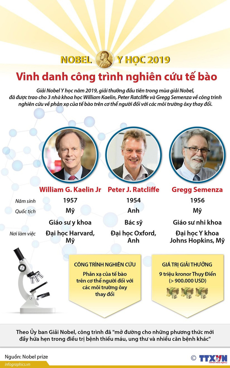 [Infographics] Nobel Y học 2019 vinh danh công trình nghiên cứu tế bào