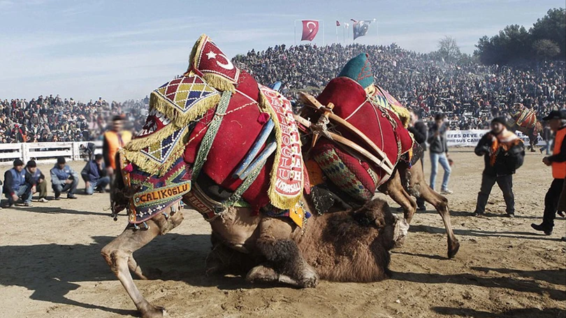Những phong tục kỳ quái ở các nước trên thế giới