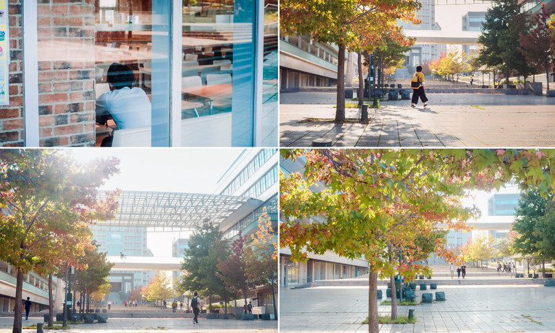 Nhật Bản đẹp mơ màng thời khắc chuyển mùa sang thu