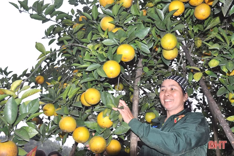 Về Hà Tĩnh người ơi!