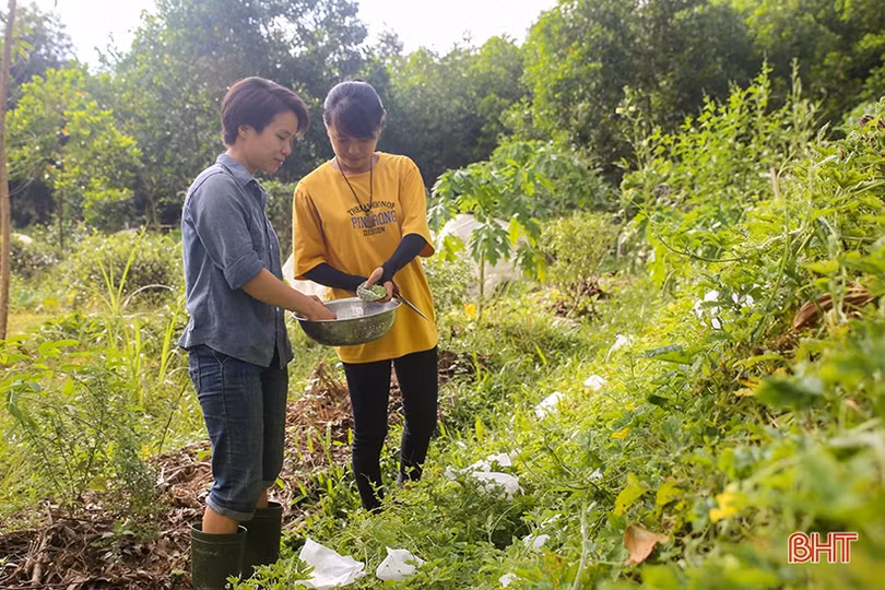 Hai nữ kỹ sư trẻ biến đồi hoang thành “đất thơ” ở Hà Tĩnh