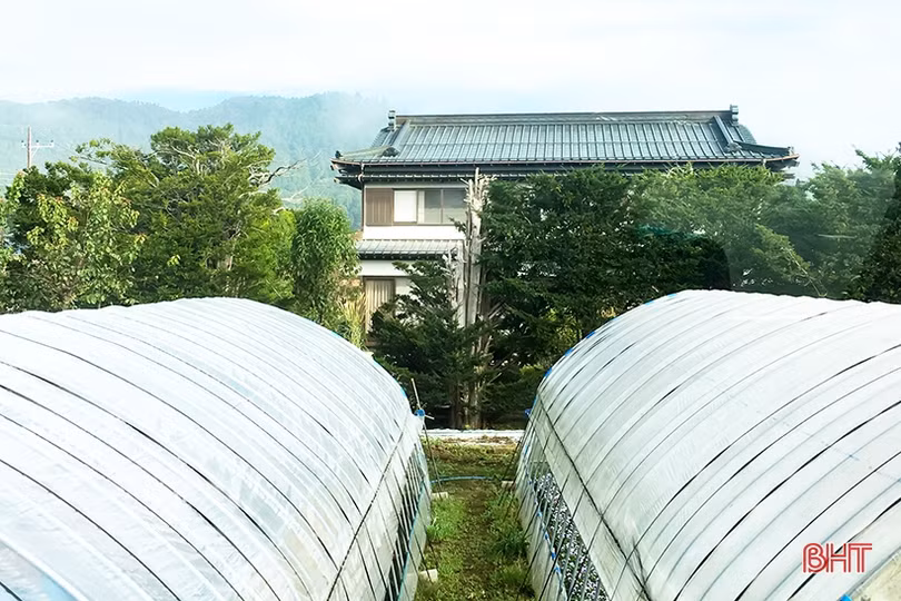 Bình yên những miền nông thôn mới Nhật Bản