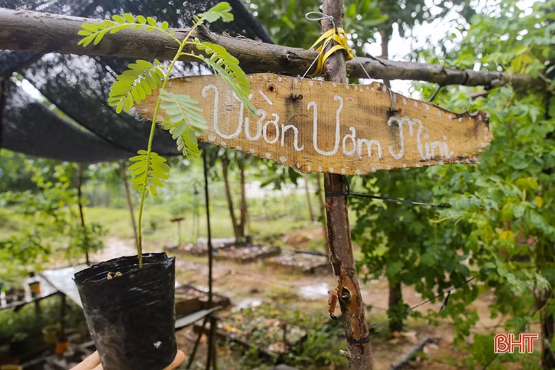 Hai nữ kỹ sư trẻ biến đồi hoang thành “đất thơ” ở Hà Tĩnh