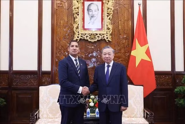 Tổng Bí thư, Chủ tịch nước Tô Lâm tiếp Đại sứ Vương quốc Thụy Điển tại Việt Nam Johan Ndisi đến trình Quốc thư. Ảnh: TTXVN.