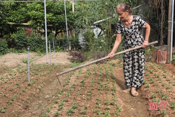 Người dân Hà Tĩnh rộn ràng xuống giống hoa tết