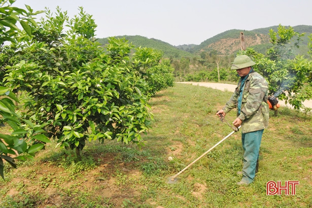 Để một ý tưởng trở thành sản phẩm thương mại