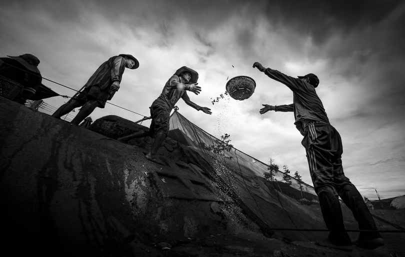 Loạt ảnh đẹp của nhiếp ảnh gia Việt Nam trên National Geographic