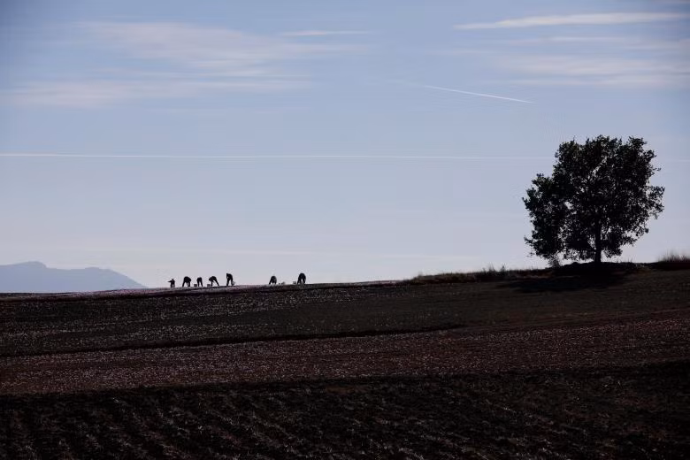 Ngành công nghiệp sản xuất “vàng đỏ” của Hy Lạp