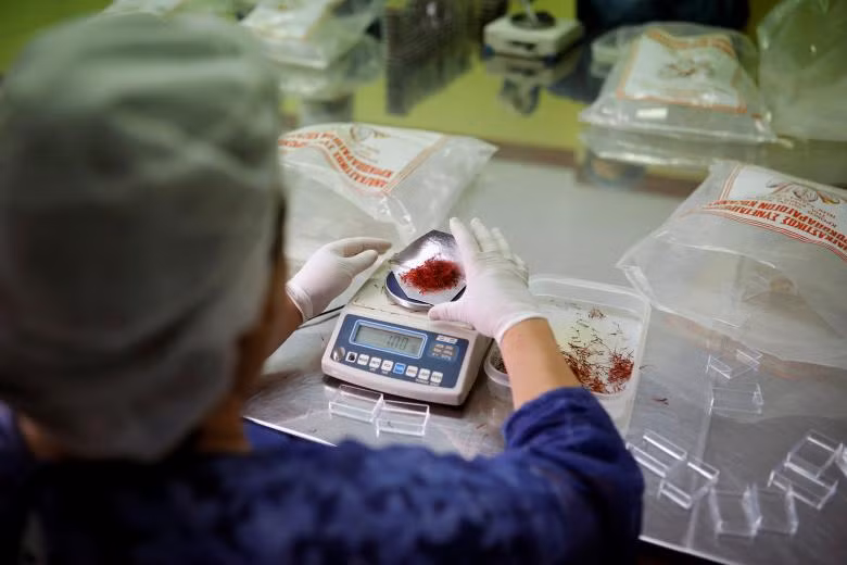 Ngành công nghiệp sản xuất “vàng đỏ” của Hy Lạp