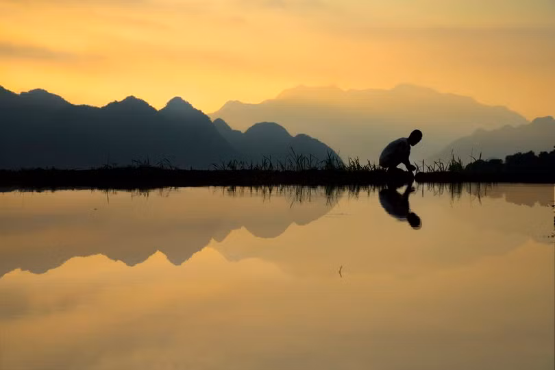 Loạt ảnh đẹp của nhiếp ảnh gia Việt Nam trên National Geographic